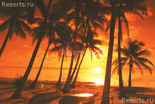Amora Beach Resort 15